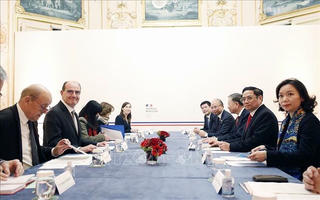 Tuyên bố chung Việt Nam - Pháp