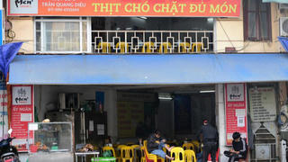 AFP đưa tin về thành phố đầu tiên của Việt Nam cam kết loại bỏ thịt chó, mèo