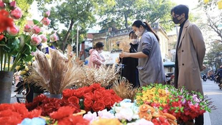 Triển lãm ảnh “Đất nước vào xuân”