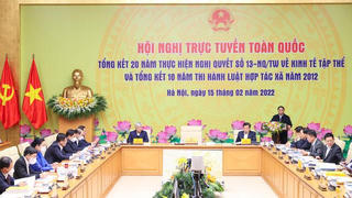 "Tìm đường" phát triển kinh tế tập thể, hợp tác xã
