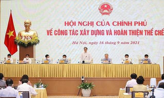 Thường xuyên rà soát, đánh giá thực tiễn thi hành pháp luật tại địa phương
