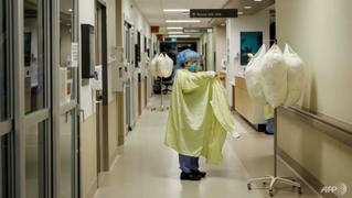 WHO họp khẩn về bệnh đậu mùa khỉ