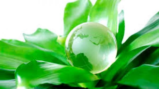 Mang lại những giải pháp xanh và bền vững của châu Âu tới Việt Nam 