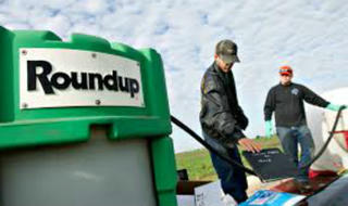 Roundup – nối dài những sản phẩm gây tranh cãi 