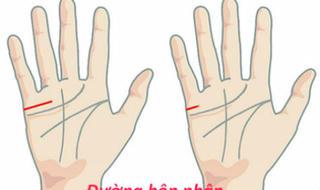 Bí mật về đường hôn nhân trên lòng bàn tay 