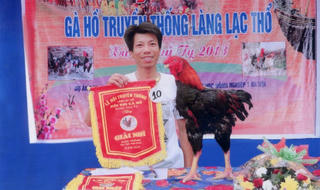 Từ tục thi luộc gà đến “cuộc cải cách tuyển chọn mỹ kê”  