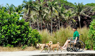 Những chú chó nghĩa tình làm 'đôi chân' cho 'cậu chủ' tật nguyền