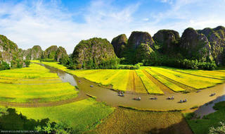 Tháng 5 này đừng bỏ lỡ điểm hẹn “Sắc vàng Tam Cốc – Tràng An”