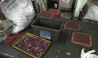 Thuốc ung thư từ than tre: Khác nào giết người