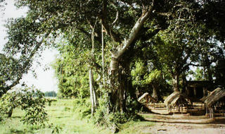 Chuyện đao phủ cuối đời đi giữ cửa chùa