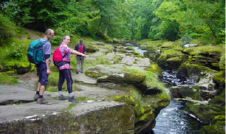 Nhìn tưởng hiền hòa, thế nhưng đây lại là dòng suối 'ăn thịt người' đáng sợ nhất thế giới