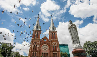 Hơn 700 con bồ câu bay lượn trước nhà thờ Đức Bà