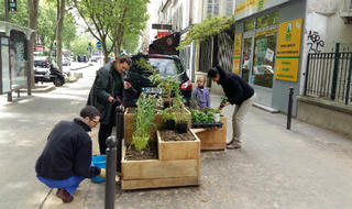 Cách chính quyền châu Âu động viên sức dân phủ xanh thành phố