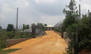 Gia Lai: Hàng chục ngàn mét đất rừng “vào tay” cán bộ quản lý rừng