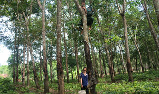 Săn “lộc trời” vùng biên