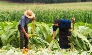 Tộc người Mỹ 'nguyên thủy' từ chối mọi tiện nghi 'văn minh'