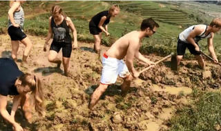 Để khách Tây cuốc đất, cho trâu đi bừa... hướng đi mới của ngành du lịch?