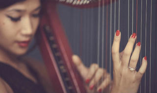 “Thánh địa” của giới chơi hạc cầm