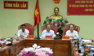 Yêu cầu tỉnh Đắk Lắk chấp hành nghiêm việc đóng cửa rừng