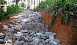 Lâm Đồng: Công sức mấy chục năm khai phá, làm đường bỗng chốc bị phủ nhận 