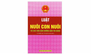 Phải làm rõ về mặt pháp lý trong sửa đổi, bổ sung quy định về nuôi con nuôi