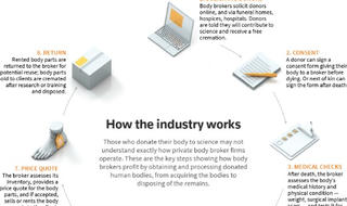 Điều tra đường dây mua bán bộ phận cơ thể người chết:  Những con số giật mình