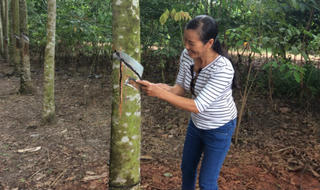 Những người phụ nữ quyết “chia tay” đói nghèo