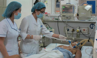 Đừng đùa với ong