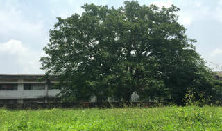 Diễn biến sự việc liên quan “khu đất lịch sử”: Bộ Nông nghiệp phản bác báo cáo của Đồng Nai