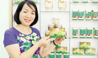 Nữ doanh nhân nặng lòng với cây Sachi