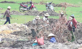  Thương lái “hét giá” đá đen, dân đổ xô đào bới
