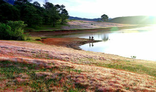 Miễn phí tham quan “Mùa hội cỏ hồng Lang Biang” năm 2018 