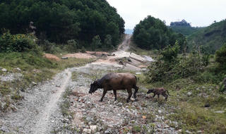 Thừa Thiên - Huế: Tuyến đường trăm tỷ thi công trì trệ