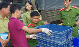 Vận chuyển mua bán động vật hoang dã: Vì sao nơi cấp phép, nơi nghiêm khắc xử phạt?