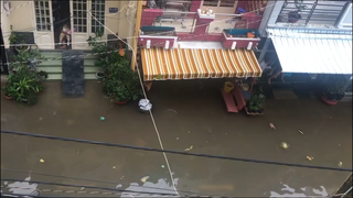 Những câu hỏi sau cơn bão…