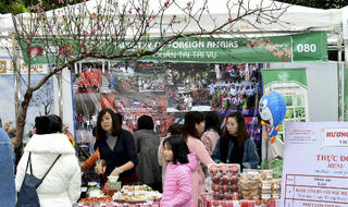 Sôi động Liên hoan Ẩm thực quốc tế lần thứ VI