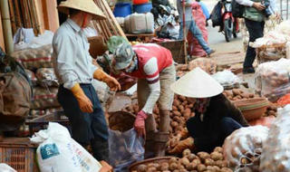 Lỗ hổng pháp lý với nông sản đội lốt hàng Việt 