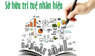 Xử lý đơn đăng ký xác lập  quyền sở hữu công nghiệp tăng 6,3%