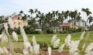 Chỉ dấu mùa Xuân ở nơi lũ rút