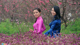 Tết Kỷ Hợi nghỉ 9 ngày liên tục, riêng học sinh TP HCM nghỉ 16 ngày