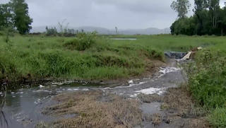 Nước thải ở nhà máy đường Tuy Hòa: Có thông số vượt ngưỡng… 16 lần