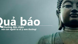Hiểu luật nhân quả để đời người không uổng phí (Bài 2): Hãy bỏ điều ác trước khi quá muộn