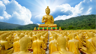 Hiểu quy luật nhân quả để đời người không uổng phí