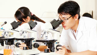 TP Hồ Chí Minh bổ sung chính sách thu hút nhân tài