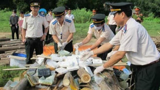 Nâng cao hiệu quả hoạt động của cơ chế một cửa trong THADS 