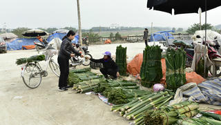 Nơi được mệnh danh 'vựa' lá dong cả nước