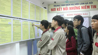 Thúc đẩy dịch vụ việc làm cho thanh niên