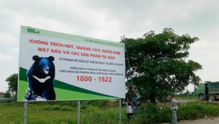 Hơn 5.000 người ký tên kêu gọi chấm dứt nuôi nhốt gấu