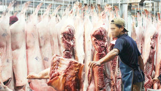 TP Hồ Chí Minh: Vướng mắc trong quy hoạch nhà máy giết mổ gia súc, gia cầm
