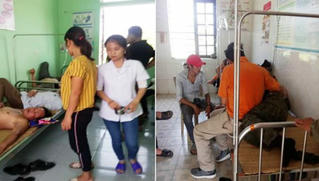 Hàng chục người nhập viện vì bị ong đốt khi đi viếng mộ ngày rằm